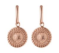Purelei - Waina Orecchini 100% acciaio inossidabile 1 pieces Marrone chiaro female