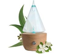 PURESSENTIEL DIFFUSORE ICONIC