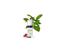 Puressentiel OEBBD Olio Essenziale Gaultheria BIO 10ML
