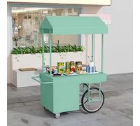 PurezmMoto Espositore Da Esterno Con Baldacchino, Carrello Della Spesa Con Ruote, Robusto E Durevole, Adatto A Centri Commerciali E Strade Pedonali(Cyan,120x60 cm/47.2x23.6 in)