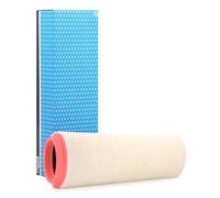 PURFLUX A1078 Filtro aria per BMW 3 Sedan (E46) 3 Sedan (E90) 5 Sedan (E60)