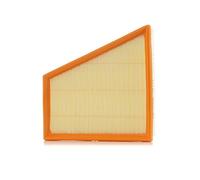 PURFLUX A1113 Filtro aria motore Cartuccia filtro