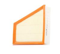 PURFLUX A1127 Filtro aria motore Cartuccia filtro