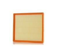 PURFLUX A1190 Filtro aria motore Cartuccia filtro con prefiltro