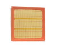 PURFLUX A1223 Filtro aria motore Cartuccia filtro