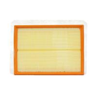 Purflux Filtro aria motore A1228 – Cartuccia filtro