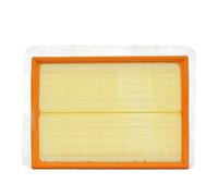 PURFLUX A1228 Filtro aria motore Cartuccia filtro