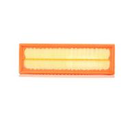 Filtro aria PURFLUX A1232