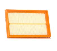 PURFLUX A1253 Filtro aria motore Cartuccia filtro