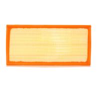 Purflux Filtro aria motore A1255 - Cartuccia filtro per Porsche, VW, Audi, Land Rover