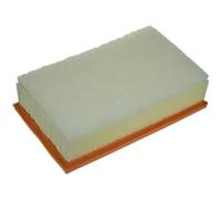 PURFLUX A1275 Filtro aria motore Cartuccia filtro