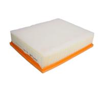 Filtro aria PURFLUX A1280