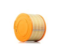 PURFLUX A1286 Filtro aria