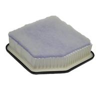 PURFLUX A1305 Filtro aria motore Cartuccia filtro