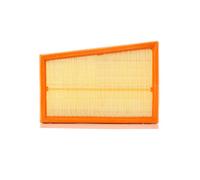 Filtro aria PURFLUX A1317