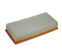 PURFLUX A1325 Filtro aria motore Cartuccia filtro