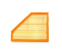 PURFLUX A1333 Filtro aria motore Cartuccia filtro