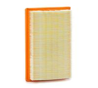 PURFLUX A1613 Filtro aria motore Cartuccia filtro