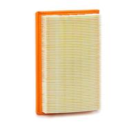 PURFLUX A1613 Filtro aria motore Cartuccia filtro