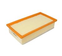 PURFLUX A1725 Filtro aria motore Cartuccia filtro