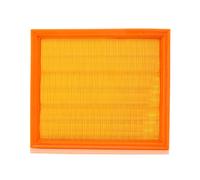PURFLUX A211 Filtro aria motore Cartuccia filtro