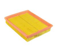 PURFLUX A254 Filtro aria motore Cartuccia filtro