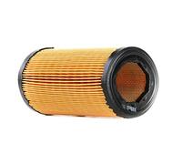 PURFLUX A266 Filtro aria
