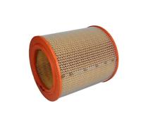 PURFLUX A818 Filtro aria motore Cartuccia filtro