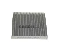 PURFLUX Filtro Abitacolo Filtro Carboni Attivi per Mazda 2 Dy CX-7 Lui AHC208