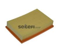 Filtro aria PURFLUX A1111