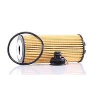 PURFLUX Filtro olio Cartuccia filtro L1045