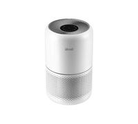 levoit True HEPA Air Purifier 300RAC