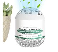 Purificatore d'Aria per Camera da | Purificatori Domestici Naturali A Base Vegetale,Scatola Purificazione Aria e Rimozione Polvere,Ideale per Zone con Animali Soggiorno Ufficio Auto Casa Nuova Armadio