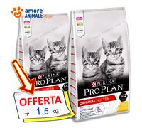 Pro Plan Kitten con Pollo: 1,5 Kg