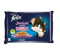 Purina Cibo per gatti Fantastic