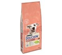 Purina Dog Chow Sensibile Adulto con salmone 14kg + sorpresa per il cane GRATIS