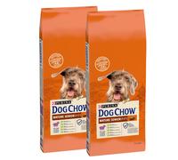 PURINA Dog Chow Mature Senior Agnello 14 kg + sorpresa per il cane GRATIS