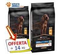 PURINA Dog PRO PLAN → Adult, Everyday Nutrition Large Athletic - 14 kg Per Cane