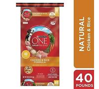 Purina ONE 1780017868 Smartblend Pollo e Riso Formula Asciutto Cane Cibo -