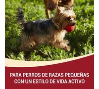 Purina One Cibo Secco Mini Dog Active Pollo e Riso 800 GR