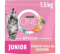 PURINA ONE Gatto Junior Da 1 A 12 Mesi, Sviluppato con Salmone selezionato 1,5 kg - Crocchette per Gattini