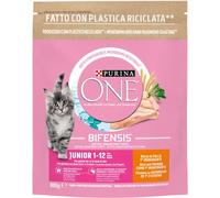Purina One Gatto Junior Pollo e Cereali 800G
