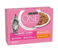 Purina ONE Junior 8 x 85 g Alimento umido per gatto - Pollo e Salmone