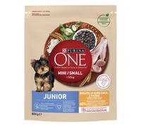 Purina ONE Mini Junior cibo secco per cani 800 g