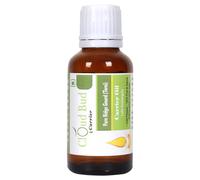 Puro Cresta Zucca ( Torai ) Lufa Acutangula Naturale Uncut per Capelli Pelle