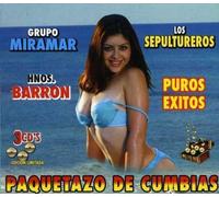 Puros Exitos Puros Exitos (CD)