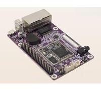 Purple Pi R1-Ido-Sbc2D06 - Computer a scheda singola, doppia porta Ethernet da 100 m, sistema operativo Linux, processore dual-core Cortex-A7 da 1,2 GHz per rete e casa intelligente
