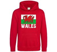 Purple Print House Felpa con cappuccio per bambini con drago gallese e tifoso del Galles, per ragazzi e ragazze, con cappuccio Cymru Rugby Hoody, Rosso, 9-11 Years