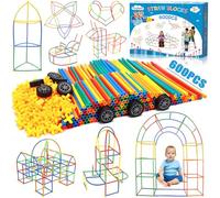 Purpledi Costruzione Giocattolo Bambini Kit, Set Fai da Te per Bambini, Giocattolo educativo Creativo per Ragazzi e Ragazze, Super Regalo (600PCS)