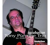 Purrone Tony - Incubation